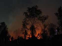 Titik Panas di Sumsel Mencapai Ribuan di Tengah Pandemi Corona