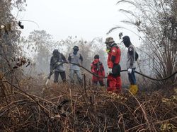 Bantu Padamkan Karhutla Riau, Pertamina Dumai Turunkan Patrapala
