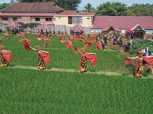 Gemulainya Penari Gandrung Berlenggak-lenggok Menari di Tengah Sawah