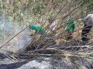 Kebakaran di Gunung Sindoro Berhasil Dipadamkan