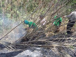 Kebakaran di Gunung Sindoro Berhasil Dipadamkan
