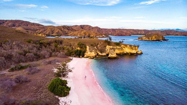 Pulau komodo Pink Beach - Komodo National Park, Indonesia