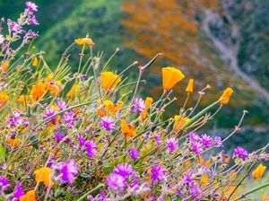 Kisah di Balik Spot Wisata Instagramable, Dari Paris ke Hongkong