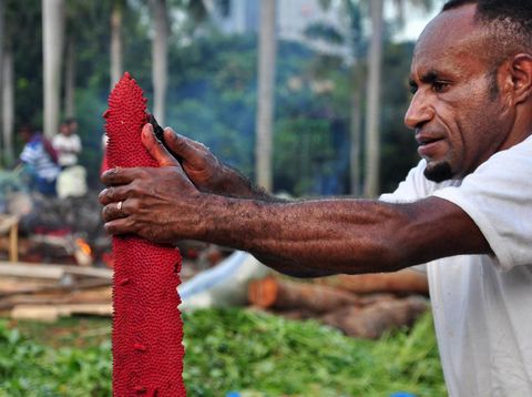 Buah Merah Papua Ampuh Obati Kanker Payudara? Simak Faktanya!