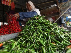 Pasang Surut Harga Cabai di Pulau Simeulue Aceh