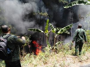 Satu Hektare Hutan Pinus Trenggalek Terbakar Satu Hektare Hutan Pinus Trenggalek Terbakar