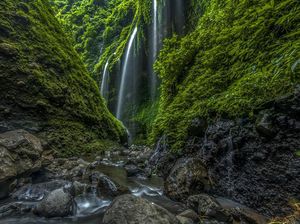 5 Air Terjun di Probolinggo, Salah Satunya Tertinggi di Jawa Timur 5 Air Terjun di Probolinggo, Salah Satunya Tertinggi di Jawa Timur