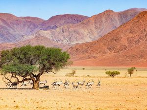 Inilah Belahan Bumi Paling Jarang Dijamah Manusia