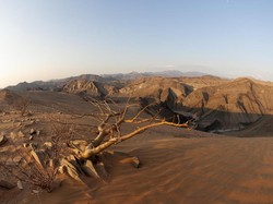 4 Negara Ini Masuk Daftar Negara Berisiko Tinggi dari CDC