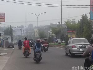 Sudah Diguyur Hujan, Udara Berselimut Asap di Jambi Masih Tak Sehat Sudah Diguyur Hujan, Udara Berselimut Asap di Jambi Masih Tak Sehat