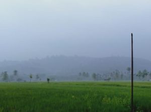 BMKG Perkirakan Hujan akan Turun di Sejumlah Wilayah Sumut
