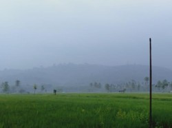 BMKG Perkirakan Hujan akan Turun di Sejumlah Wilayah Sumut