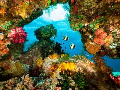 Foto: 5 Tempat Wisata Alam di Dunia yang Rusak Akibat Turis
