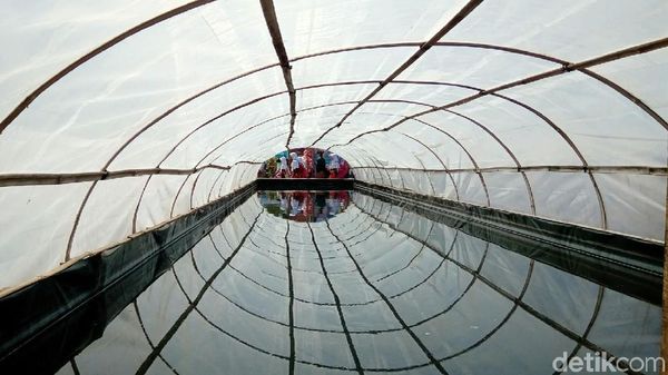 Foto: Kampung Garam yang Instagramable di Kebumen
