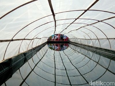 Foto: Kampung Garam yang Instagramable di Kebumen
