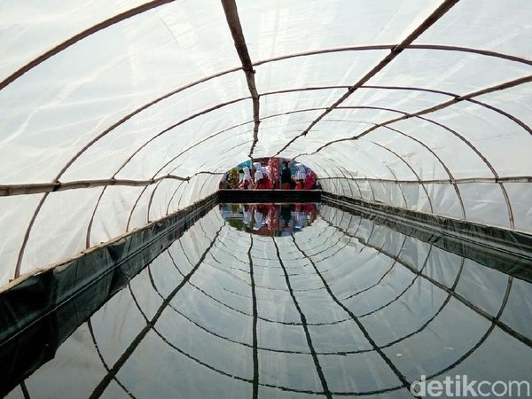 Foto: Kampung Garam yang Instagramable di Kebumen