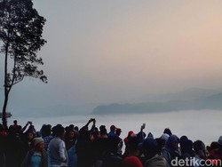 Negeri di Atas Awan Bukan Korban Viral, Tapi Berkah Viral