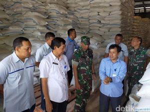 Bulog Banyuwangi Jamin Harga Beras Stabil Bulog Banyuwangi Jamin Harga Beras Stabil