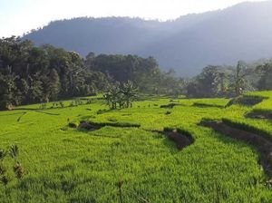 Yang Hijau dan Segar di Garut Selatan: Kampung Saparantu