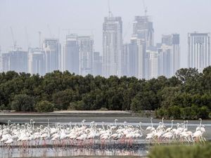 Dubai Ingin Hijaukan Padang Pasir untuk Jadi Destinasi Wisata Dubai Ingin Hijaukan Padang Pasir untuk Jadi Destinasi Wisata