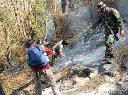 Api Belum Padam, Kebakaran di Gunung Sumbing Capai 24 Hektare