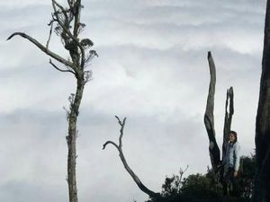 Lihat Jauh ke Timur, Ini Wisata Hits di Timor Tengah Selatan