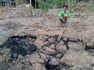 Tanah Gosong dan Bau Rempah Retakan Tanah yang Keluarkan Api di Ponorogo