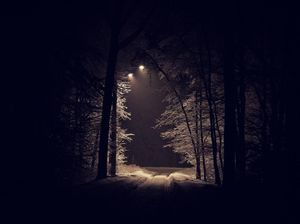 Heboh Suara Kuntilanak Teror Warga di Dekat Makam Jetis Bantul, Ternyata...