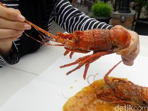Kenyal Gurih Lobster Bisa Dinikmati Untuk Makan Siang di Sini Kenyal Gurih Lobster Bisa Dinikmati Untuk Makan Siang di Sini