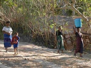 Desa di NTT Ini Tak Mengenal Pencuri, Pun Ada Malah Dimodalin