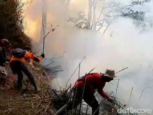 Ridwan Kamil Sebut Perusak Hutan Lebih Takut Hukum Adat Daripada Formal Ridwan Kamil Sebut Perusak Hutan Lebih Takut Hukum Adat Daripada Formal