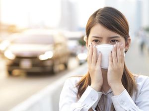 Benarkah Paparan Polusi Udara Bisa Sebabkan Kolesterol Tinggi?