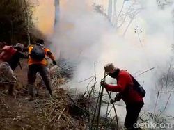 Gunung Merbabu Masih Membara, 600 Ha Lahan Hangus Terbakar