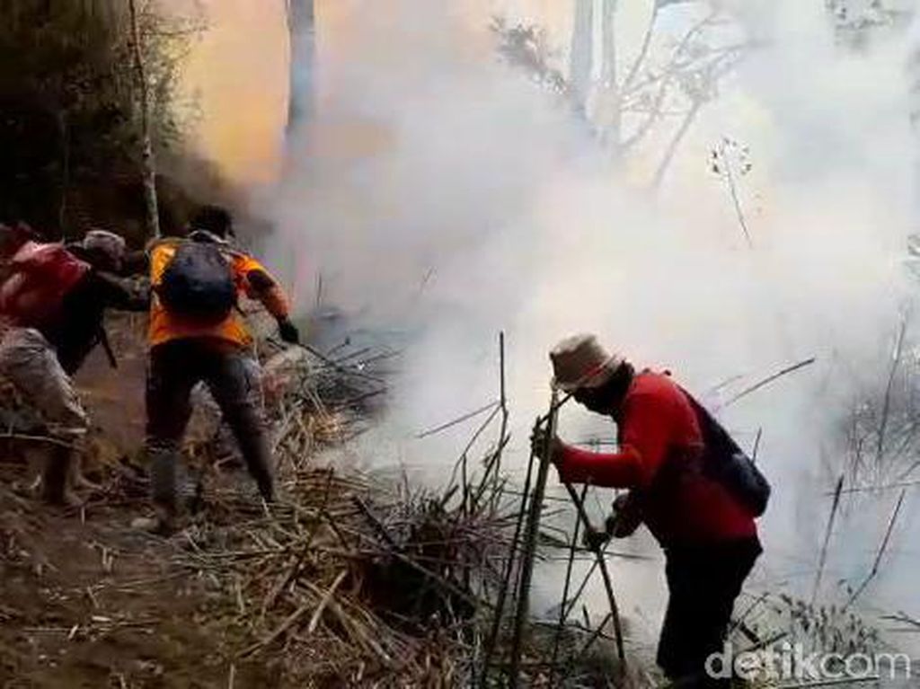 Gunung Merbabu Masih Membara, 600 Ha Lahan Hangus Terbakar Gunung Merbabu Masih Membara, 600 Ha Lahan Hangus Terbakar