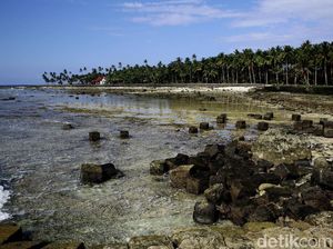 Melihat Kesiapan Miangas dalam Pariwisata Melihat Kesiapan Miangas dalam Pariwisata