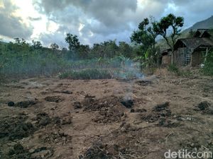 Tanah yang Keluarkan Api di Ponorogo Bekas Ditanami Jagung dan Ketela