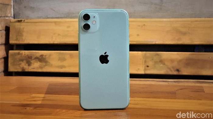 iPhone 11. Foto: Adi Fida Rahman/detikINET iPhone 11. Foto: Adi Fida Rahman/detikINET