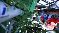 Kampung Hijau, Kurangi Sampah Plastik di Kota Surabaya