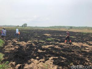 Polisi Tangkap 2 Pembakar Lahan di OKI