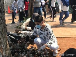 Awkarin dan Pengikutnya Turun ke Jalan, Pungut Sampah Sekitar DPR