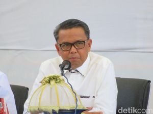 Gubernur Sulsel: Tugas TGUPP Merancang, Tak Boleh Lebihi ASN