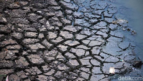 Kasihan! Sungai Citarik Mengering, Petani Gagal Panen