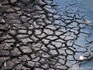 Kasihan! Sungai Citarik Mengering, Petani Gagal Panen