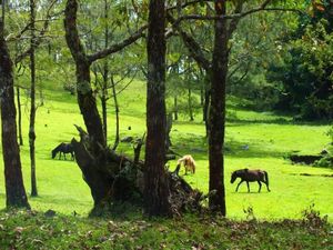 Bukan di Luar Negeri, Ini Pemandangan Kota Soe