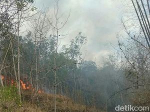 Gunung Orak-arik Kembali Terbakar, 1,5 Hektare Hutan Hangus Gunung Orak-arik Kembali Terbakar, 1,5 Hektare Hutan Hangus