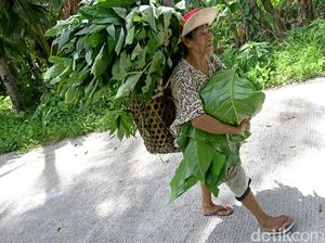 Dear Pak Jokowi, Ini Suara Hati Masyarakat Miangas Dear Pak Jokowi, Ini Suara Hati Masyarakat Miangas
