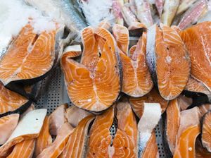 WHO: Dugaan Corona Berasal dari Ikan Salmon Perlu Diteliti Lebih Lanjut