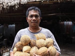KUR BRI Bikin Nasabah di Sinabang Naik Kelas KUR BRI Bikin Nasabah di Sinabang Naik Kelas