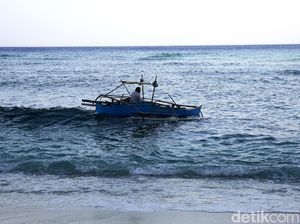 Kini Nelayan RI Bisa Cari Ikan di Laut Pakai Aplikasi HP Kini Nelayan RI Bisa Cari Ikan di Laut Pakai Aplikasi HP