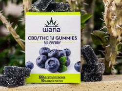 Kisah Ganja dan Makanan, Mulai dari Permen hingga Kafe Ganja Legal